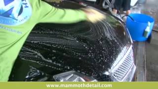 gb alpharetta atlanta mammoth detail salon kz