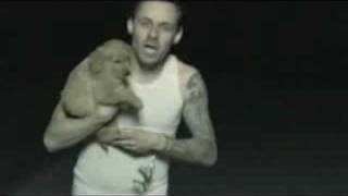 Donots  Stop The Clocks