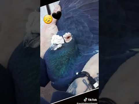 ٢٦ أبريل ٢٠٢٢