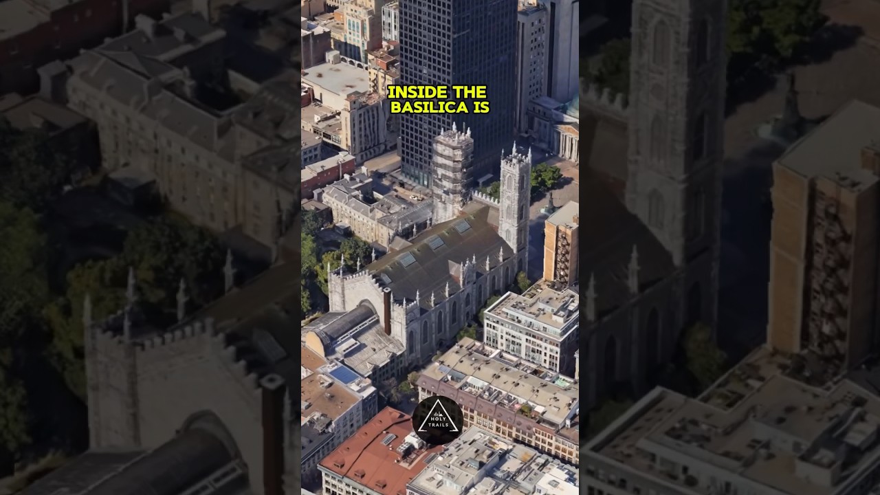 Aura Experience 😳🇨🇦 Wait for it… | Notre Dame basilica of Montreal