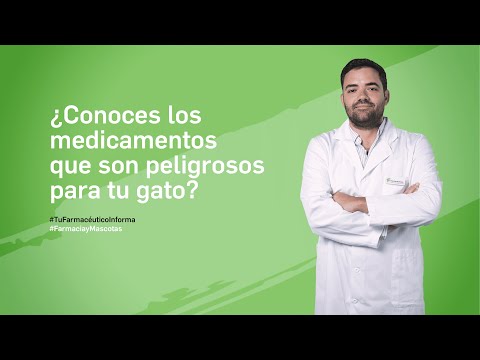 Conoce los medicamentos que son peligrosos para tu gato. Tu Farmacéutico Informa #FarmaciayMascotas