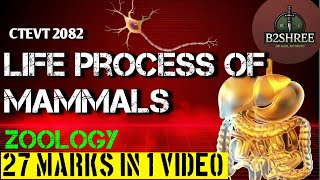 Life process of mammals|Leaked Question 2082| CTEVT fix | Model | B2SHREE