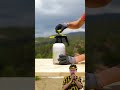 ¡Crea un Gazebo Acogedor para Tu Jardín con Butch!