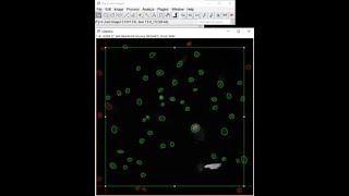 CountingFCellPoseJv 1 Tutorial