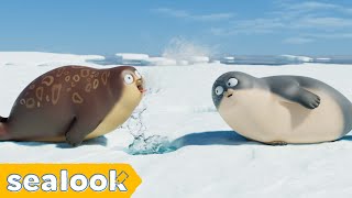 This Seal Nailed the BeatboxㅣSEALOOKㅣEP.2