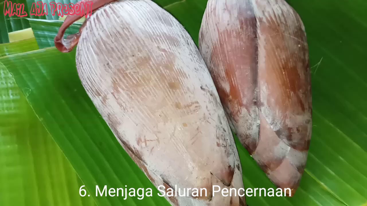 10 Manfaat Jantung Pisang Yang Jarang Kita Ketahui - YouTube