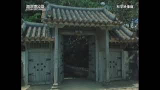 沖縄の亜熱帯・沖縄の自然と生活2-2