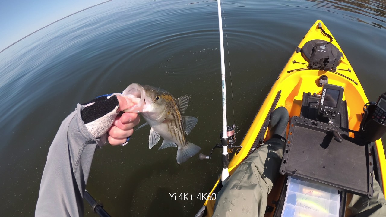 First Striper of 2017. Early Spring Back Bay Surf and Kayak Fishing. YI 4K+ [4K 60fps] YouTube