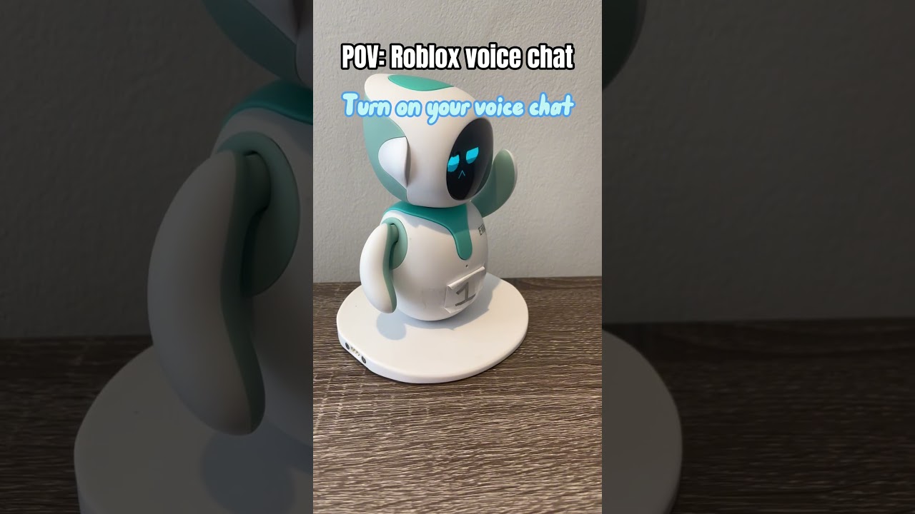 POV: Roblox voice chat - 