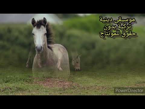 موسيقى تركية دينية رووووووعه
