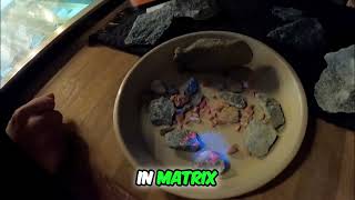 Blacklight Reveals Hidden Rubies in Rocks!