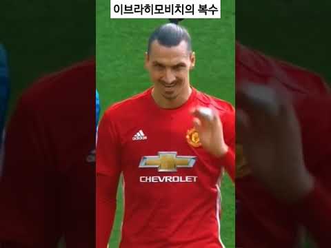 감이 날 밟어?