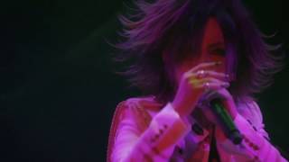 The Gazette Sugar Pain 15Th Anniversary