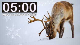 Relaxing Nature Reindeer 5 Minute Countdown Kids Timer |  Artic Animals |  Classroom Management