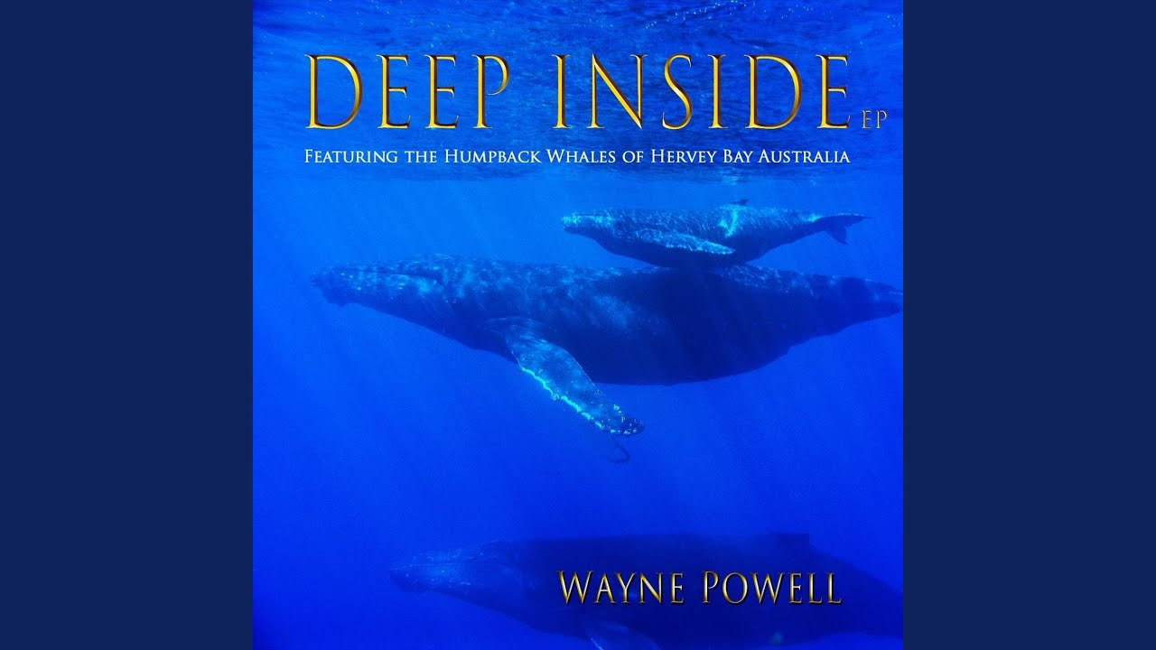 Guarda Deep Inside su YouTube Guarda Deep Inside su YouTube