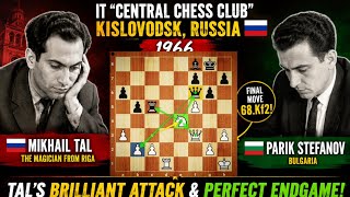 Mikhail Tal's Incredible Sicilian Attack vs Parik Stefanov (1966) | Brilliant Endgame Masterpiece screenshot 2