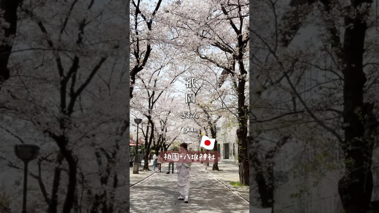 日本櫻花季必拍景點分享-祇園 縮圖
