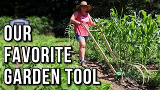 TWO MONTHS LATER: Review of the @gardeningwithhoss Double Wheel Hoe