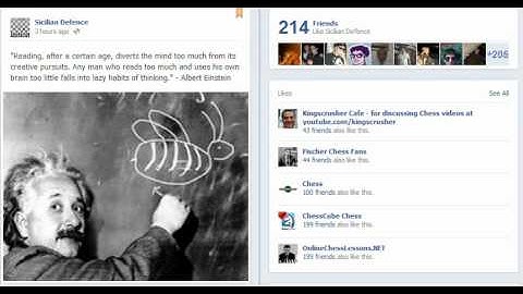 Chess World.net: Albert Einstein quotation regarding reading and using brain (Chessworld.net)