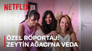 Ayvalık'ta Son Yaz | Zeytin Ağacı | Netflix