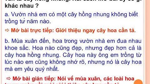 Tuần 25 Lớp 4 Tập Làm Văn Luyện Tập Xây Dựng Mở Bài Trong Bài Văn Miêu Tả Cây Cối