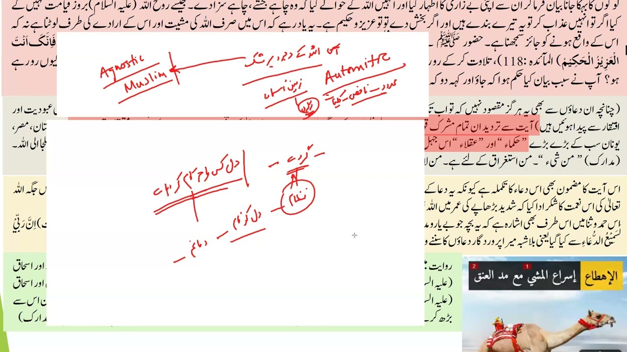 Tarjuma Quran /معانی القرأن Tarjuma Surah ibraheem Part 13 ayt: 39-41 || Hazrat Mufti Faisal Hayat