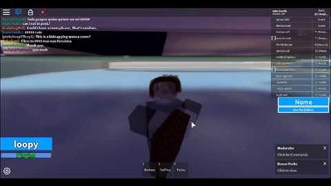 Roblox | Hilton Hotel | Exploiter Report