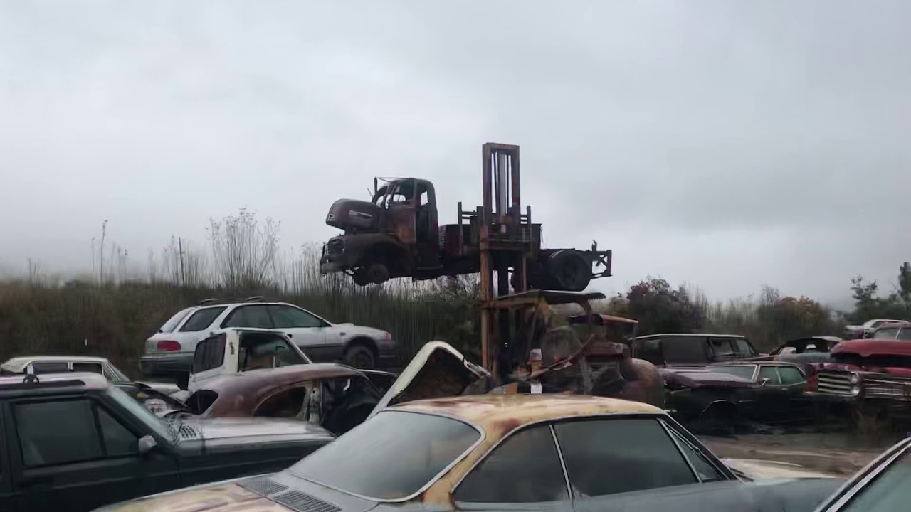 Coe  saved from the crusher