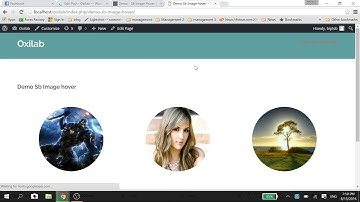 Sb Image Hover Effects Video Tutorial