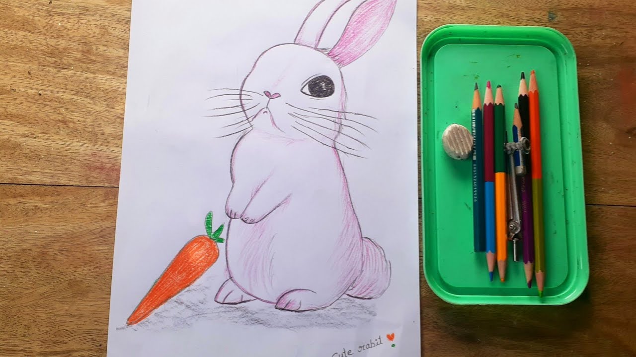 Cute rabbit with pencil colours very easy step by step 🐇 - YouTube