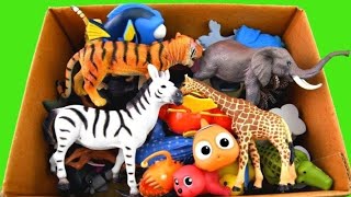 Учим Животных на английском, Корова, Динозавр, Слон Собака, Свинья Развивающие Мультики для детей