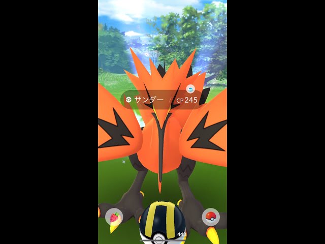 ついにサンダーガラルのすがたゲット Youtube