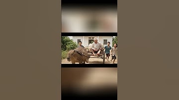 Capybara chiến đấu với rắn độc và đưa ông lão đến bệnh viện 🐍🐾 | Capybara và Ông Lão #shorts