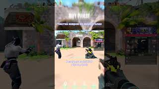 смешные моменты со стрима #valorantclips #twitch