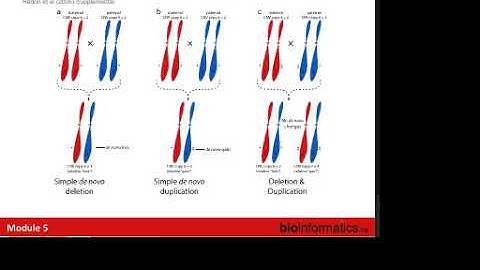Copy Number Alterations