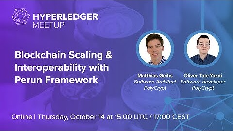 Blockchain Scaling & Interoperability with Perun Framework