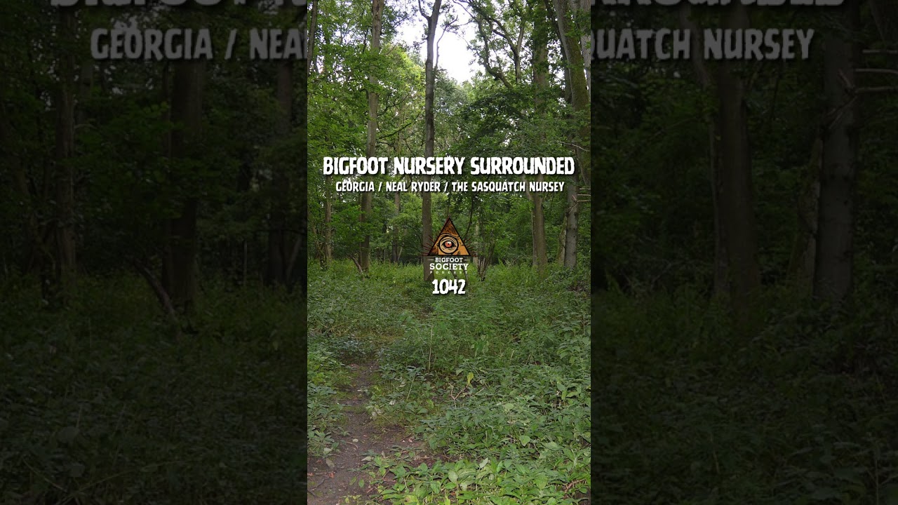 Neal Ryder from bigfoottalk.com is back! Find out why the Bigfoot Nursery may be in danger... Listen