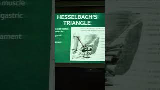 hesselbach triangle #doctor #csectionbirth #aesthetic #gynaecologists