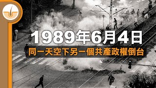 同一日，世界另一端有一個共產政權倒台！(繁體中文字幕)