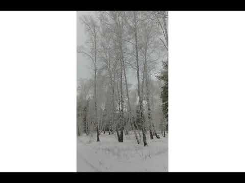 Делюсь красотами зимнего леса))