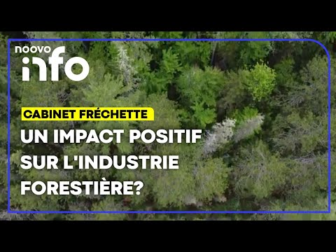 Kateri Champagne Jourdain à la Forêt: un nouveau souffle pour l’industrie forestière?