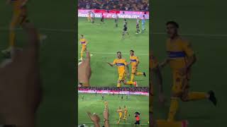 El golazo de Gignac que abria las puertas para el 5 - 2 #futbol #tigres #futbolmexicanolive #soccer