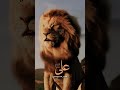 ali mola I love Mohammad ❤️ 😍 💖 ❣️ 💕
