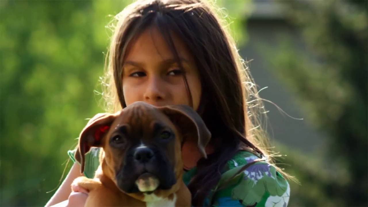 Milgard's Innovative Windows - Integrity Windows San Jose