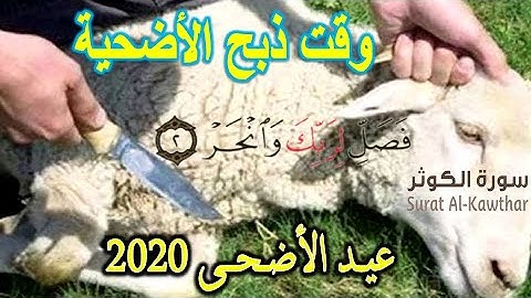 وقت ذبح الاضحية 🐑 فى عيد الاضحى 2020  🌷سورة الكوثر 🕋 اجمل حالات واتس اب دينية اسلامية قران 2020 🎀
