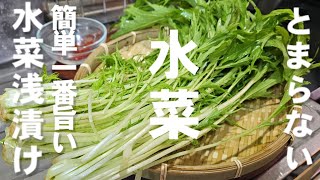 漬物（水菜の浅漬け）｜ちゃらりんこクックさんのレシピ書き起こし