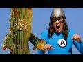 Night of the cactus  full episode  the aquabats super show with kate freund and paul rust