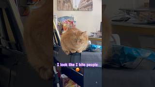 Cute Or Danger? You Decide