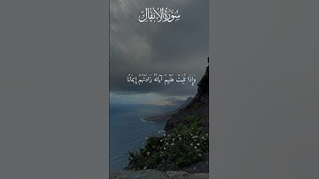 تلاوة خاشعة للشيخ ياسر الدوسري من سورة الأنفال #تلاوات #قرآن #قران_كريم #لايك
