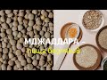 МДЖАДДАРА  | Простой рецепт ЧЕЧЕВИЦЫ